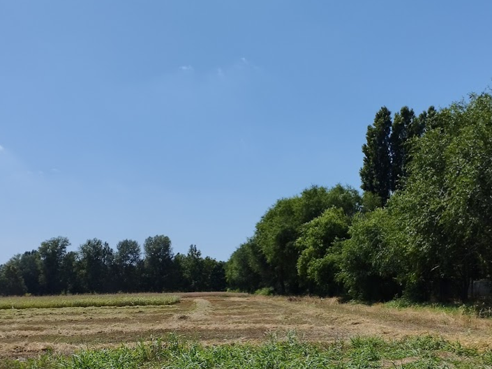 Immagine Azienda