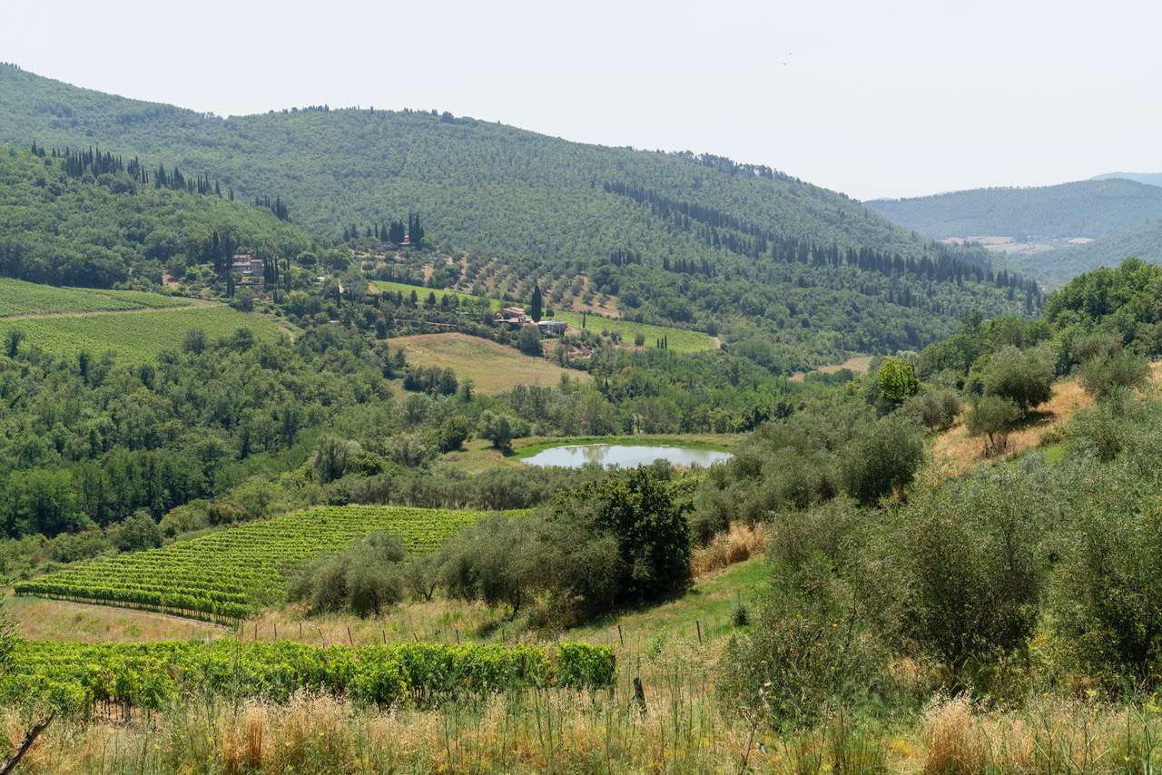 Immagine Azienda