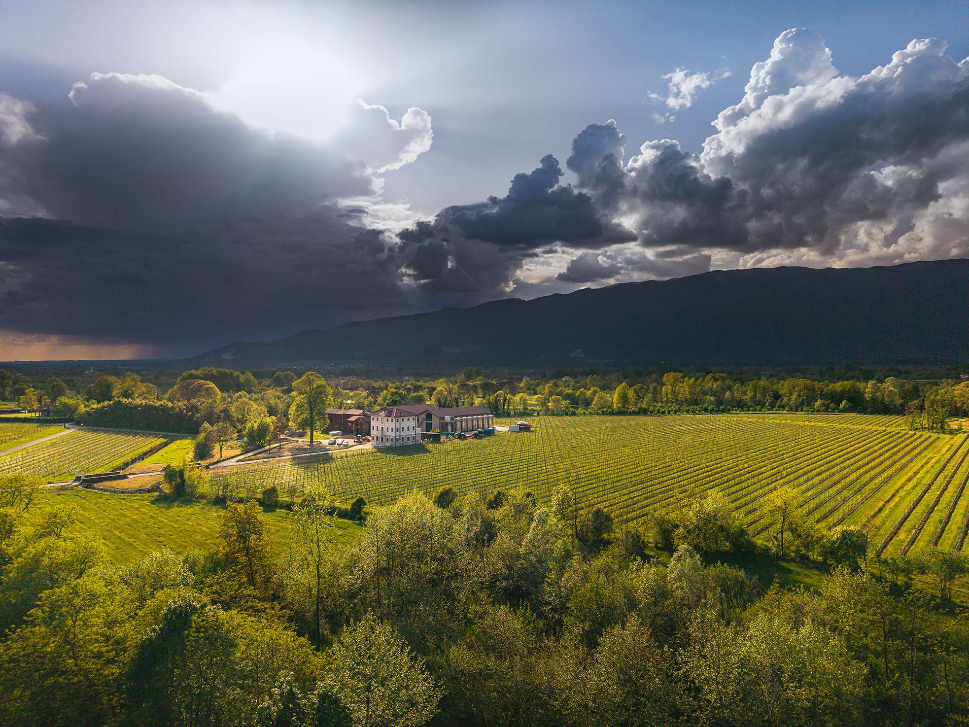Immagine Azienda